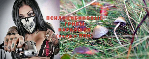 ECSTASY Киреевск