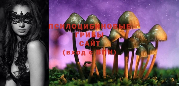 ECSTASY Киреевск